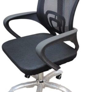 Imported V Net Chair